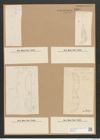Diatomeae indet. Zeichnungen Sammlung Grunow Nr. 2599 (NHMW-BOT-W0369792)